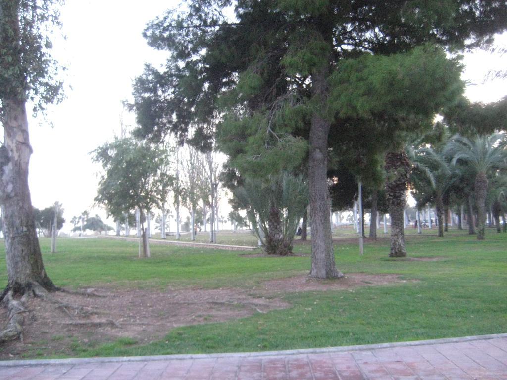 Apartamento Illa Mar Sant Carlos de la Ràpita Zewnętrze zdjęcie
